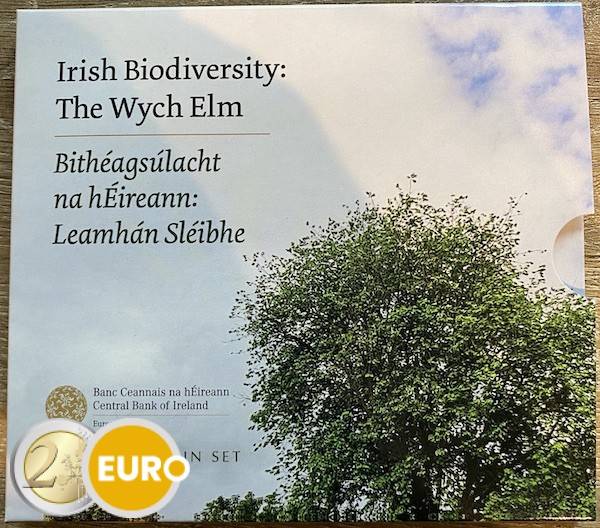 Euro set BU FDC Ierland 2025 Bergiep